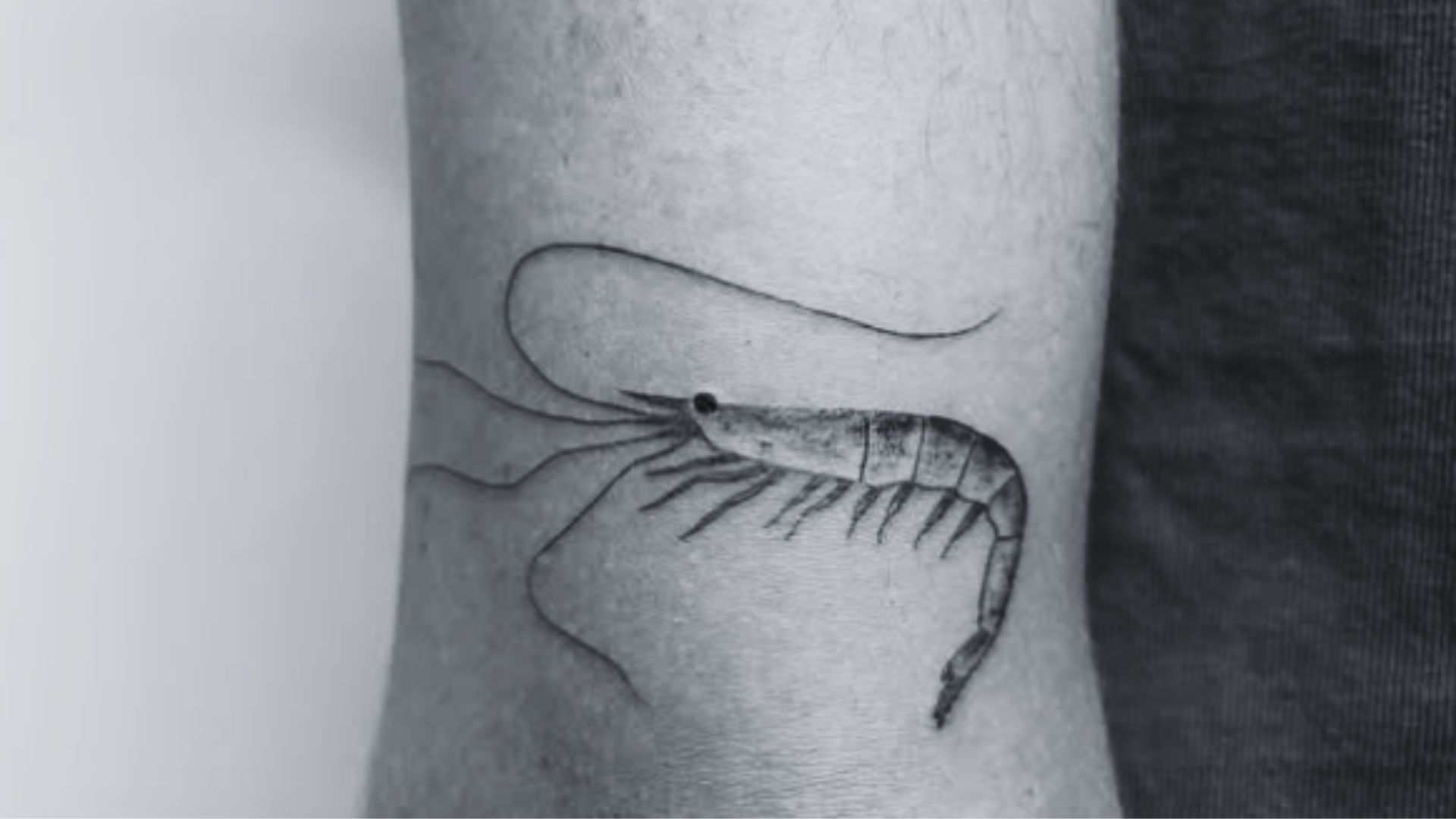 Tatuaje en el brazo de una gamba Bonitolojusto